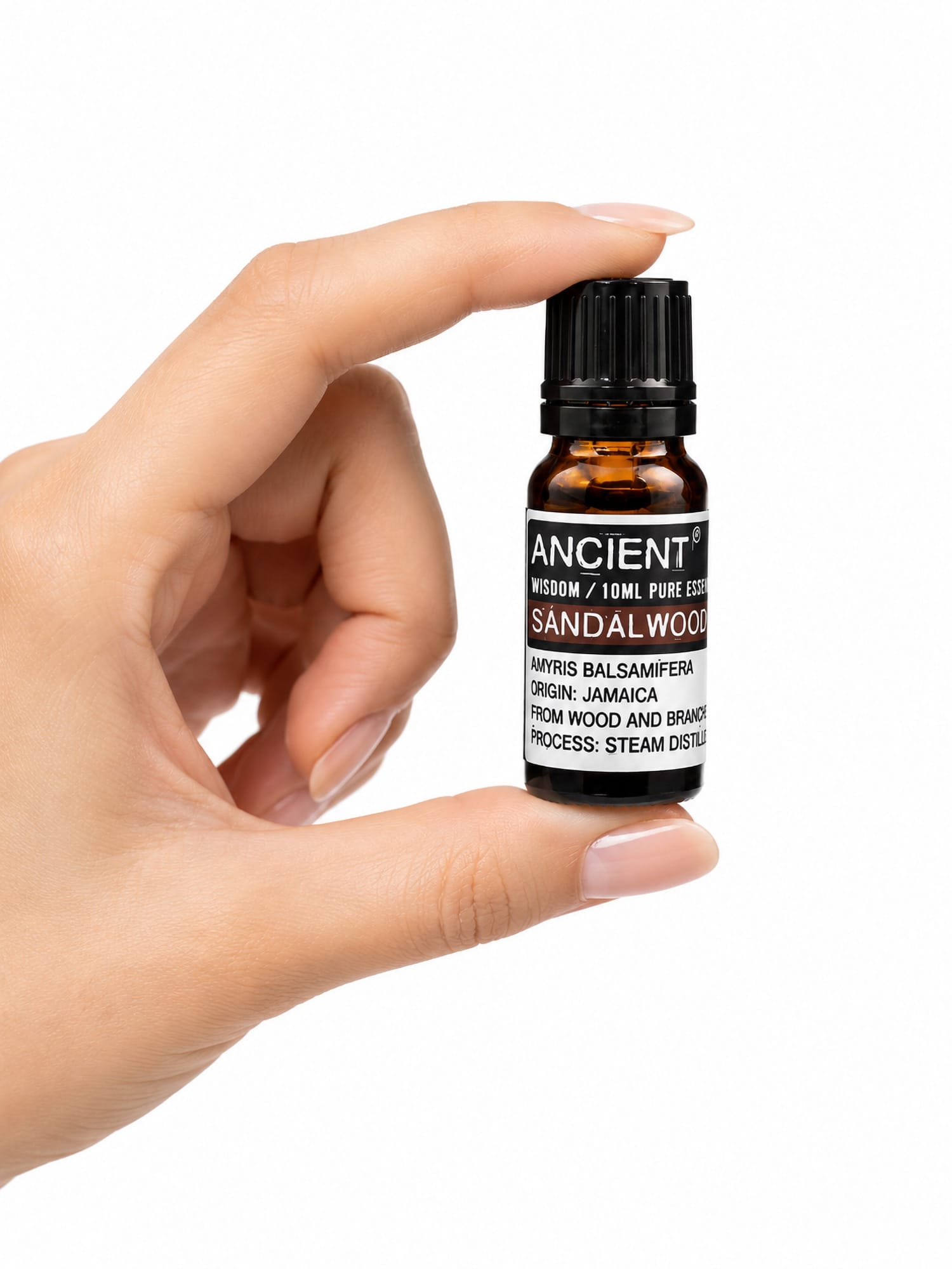 Hand holding amber Amyris Sandalwood pure essential oil bottle with brown-banded label and black cap.