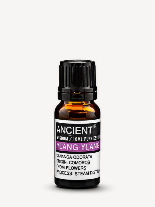 Amber bottle of Ylang Ylang pure essential oil with black cap and purple-banded label.