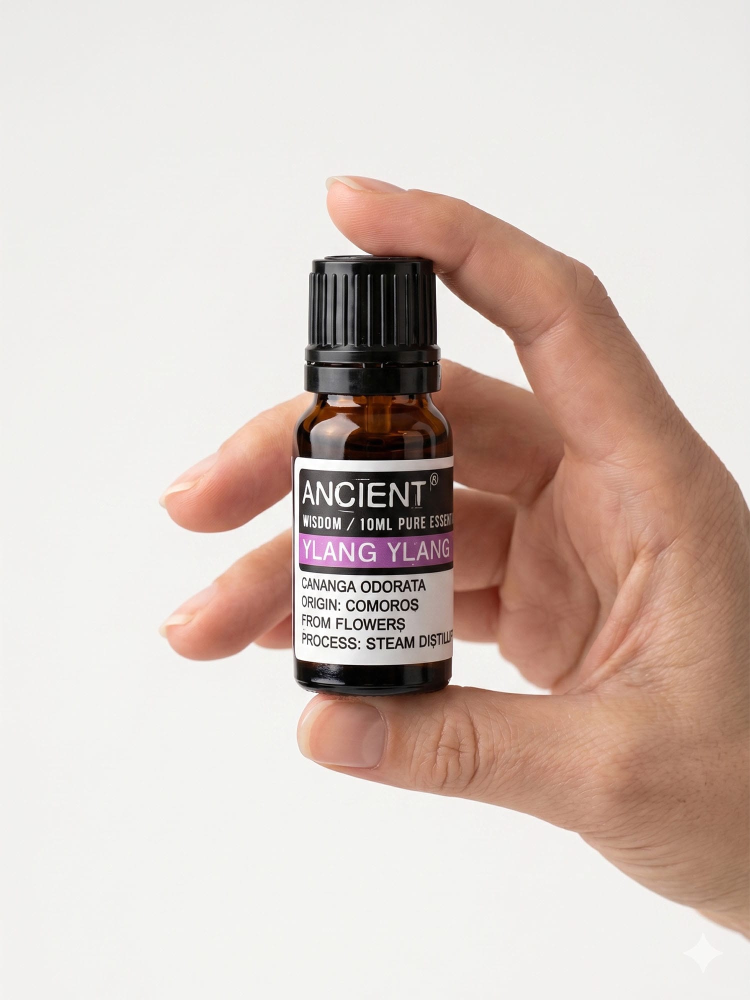 Hand holding amber Ylang Ylang pure essential oil bottle with purple-banded label and black cap.